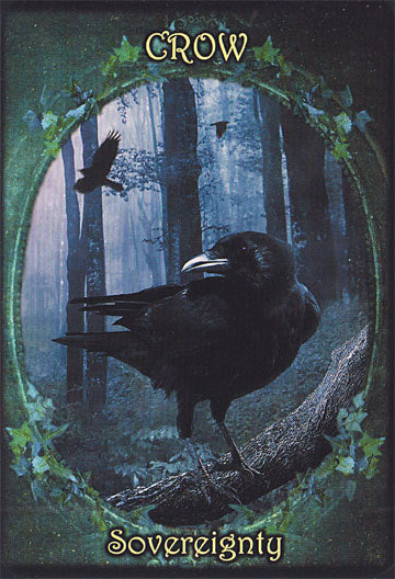 Witches Familiars Oracle Cards