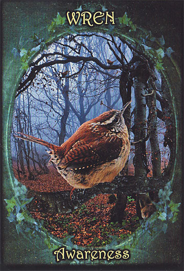 Witches Familiars Oracle Cards