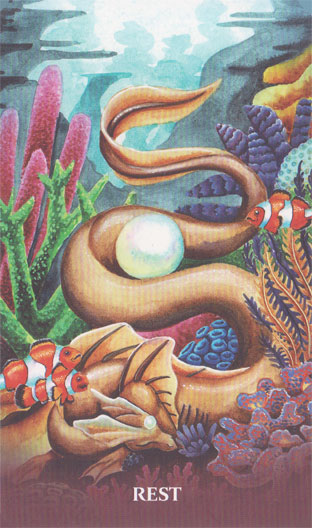 Universal Dragon Oracle