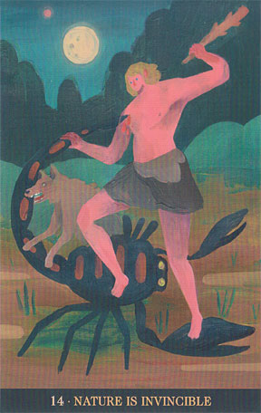 Inspirational Wicca Oracle Cards