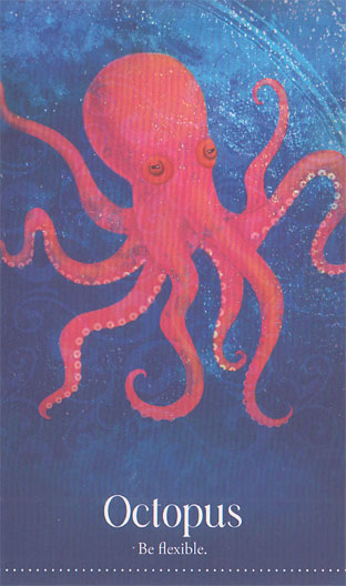 Wild Dreams Animal Oracle