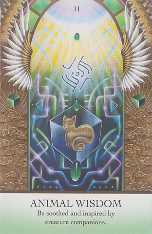 Light Code Apothecary