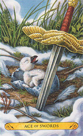 Tarot Of The Owls Mini Deck