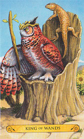 Tarot Of The Owls Mini Deck