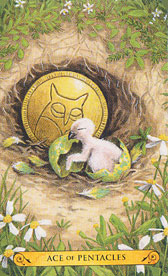 Tarot Of The Owls Mini Deck