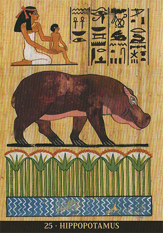 Egyptian Sacred Animals Oracle
