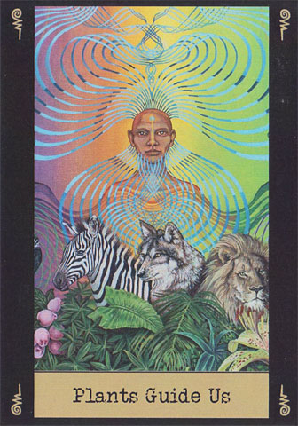 Visionary cards