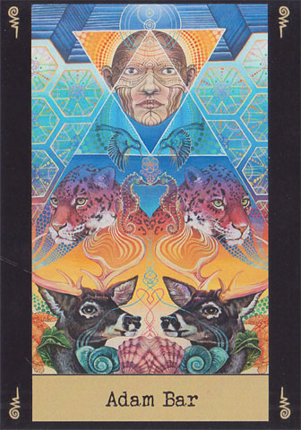 Visionary cards