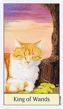 Cats Eye Tarot