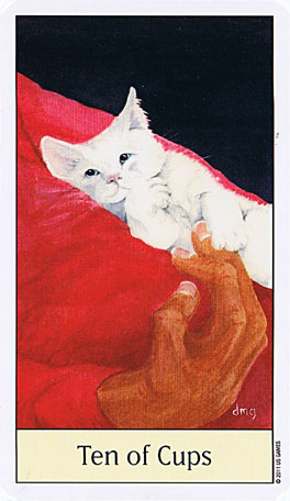 Cats Eye Tarot