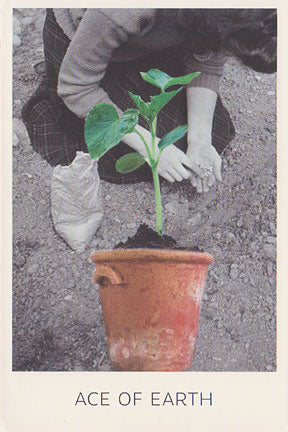 Rosebud Tarot