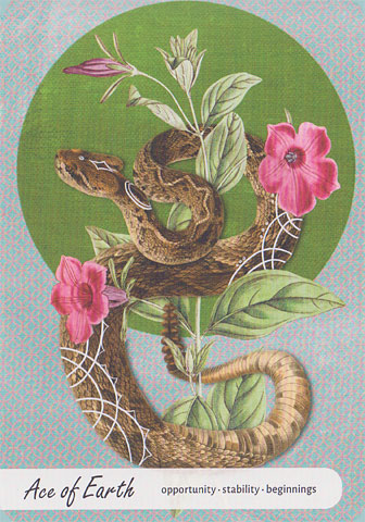 Wise Earth Medicine Tarot