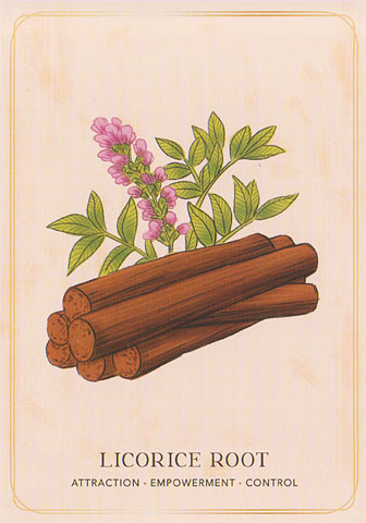Herbal Tea Magic for the Modern Witch Oracle