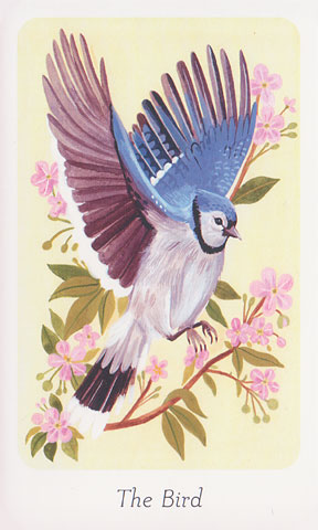 Little Witchs Oracle Deck