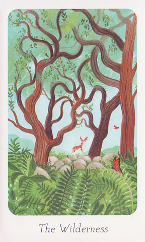 Little Witchs Oracle Deck