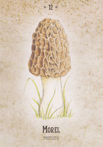 Mushroom Spirit Oracle