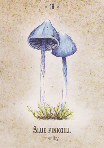 Mushroom Spirit Oracle