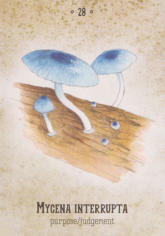 Mushroom Spirit Oracle