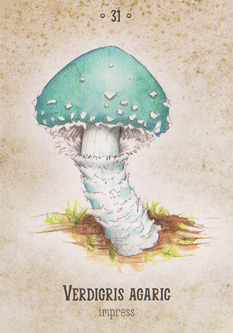 Mushroom Spirit Oracle