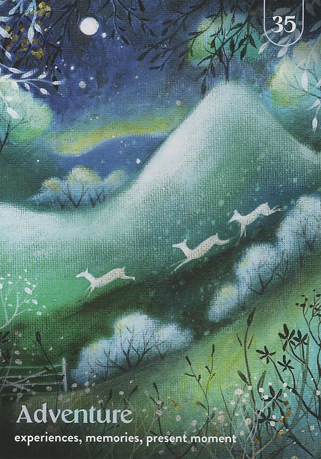 Enchanted Earth Oracle