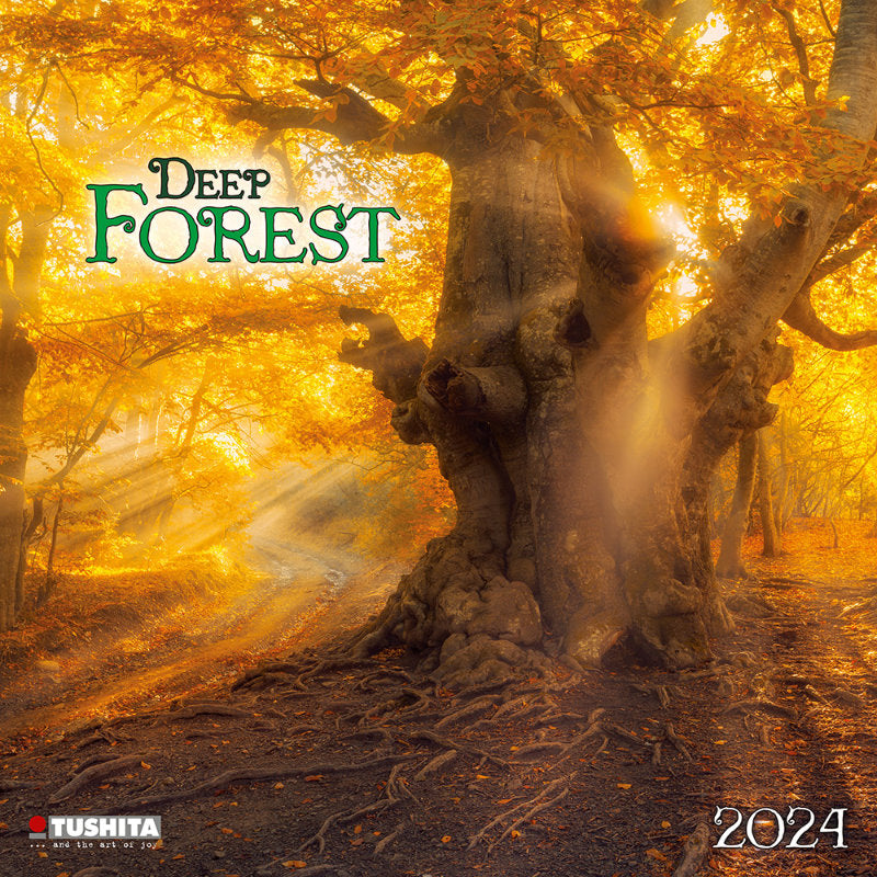 2024 Deep Forest Calendar Wall