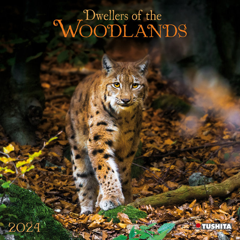 2024 Dwellers of the Woodlands Calendar Wall