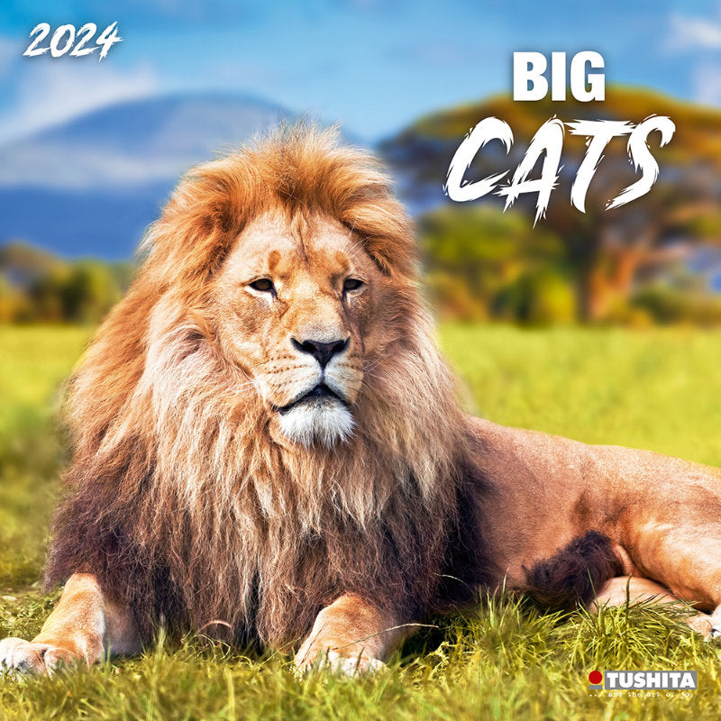 2024 Big Cats Calendar Wall