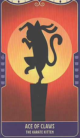 Cosplay Cats Tarot Deck