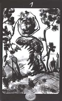 Tarot Of The Secret Forest