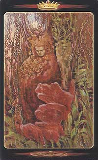 Tarot Of The Secret Forest