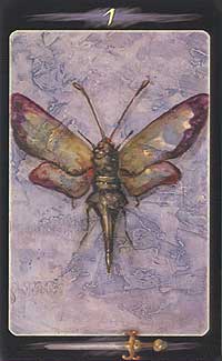 Tarot Of The Secret Forest