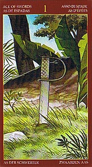 Afro Brazilian Tarot