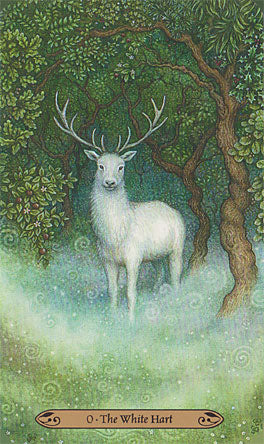 Forest of Enchantment Tarot