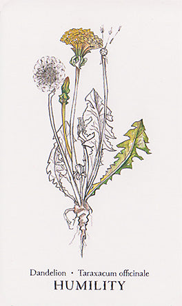 Hedgewitch Botanical Oracle