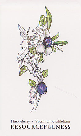 Hedgewitch Botanical Oracle