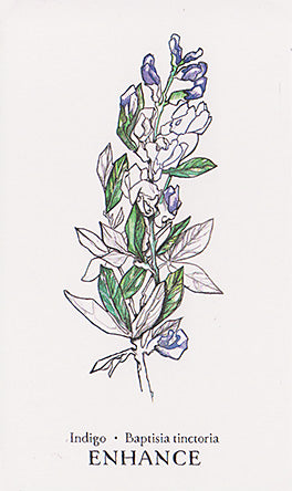 Hedgewitch Botanical Oracle