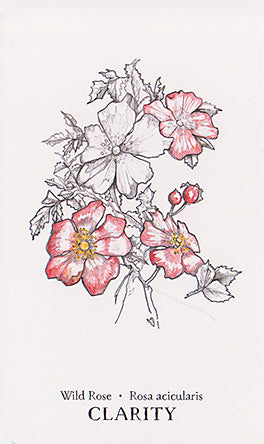Hedgewitch Botanical Oracle