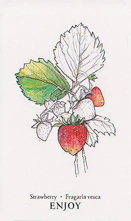 Hedgewitch Botanical Oracle