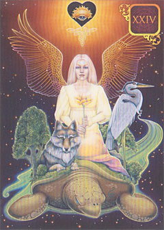 Dreams of Gaia Tarot Pocket Edition