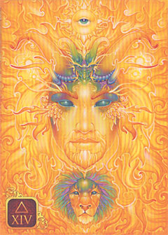 Dreams of Gaia Tarot Pocket Edition