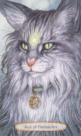Soul Cats Tarot Set