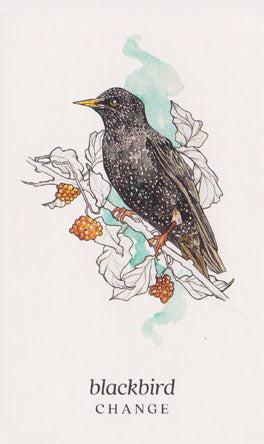 Winterseer Animal Oracle