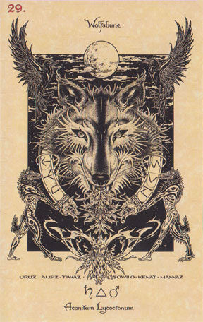 Magickal Botanical Oracle