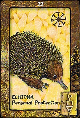 Animal Dreaming Oracle Cards