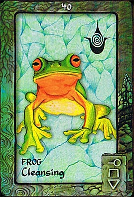 Animal Dreaming Oracle Cards