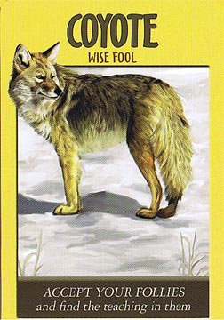 Power Animal Oracle Cards