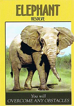 Power Animal Oracle Cards