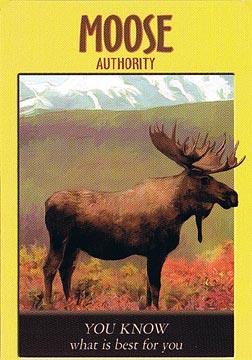 Power Animal Oracle Cards