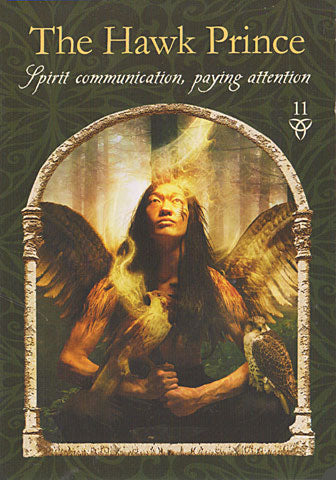 Wisdom of the Hidden Realms Oracle Cards