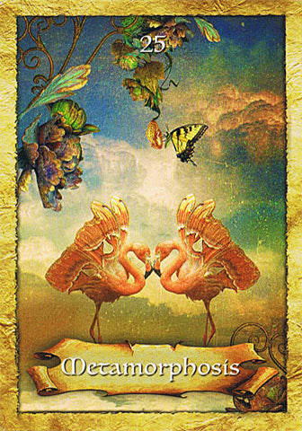 Enchanted Map Oracle Cards